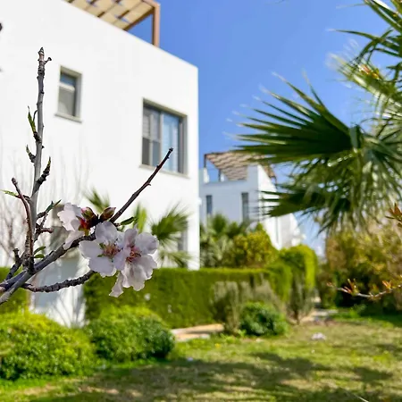 Apartamento Olive Branch By Holidaykeys Agios Georgios (Kyrenia)