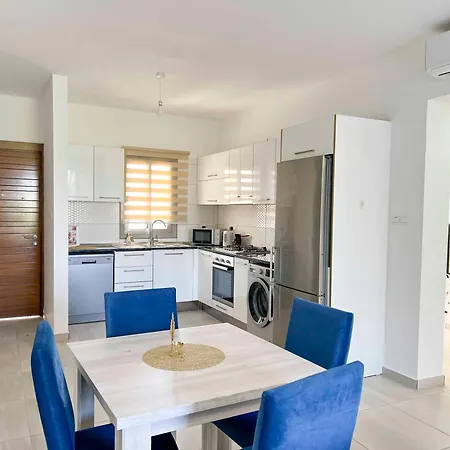 Olive Branch By Holidaykeys *