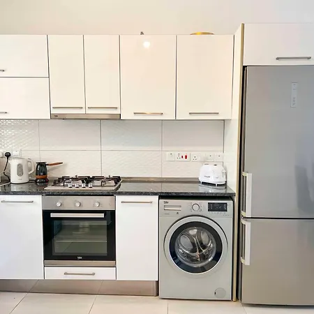 Olive Branch By Holidaykeys *