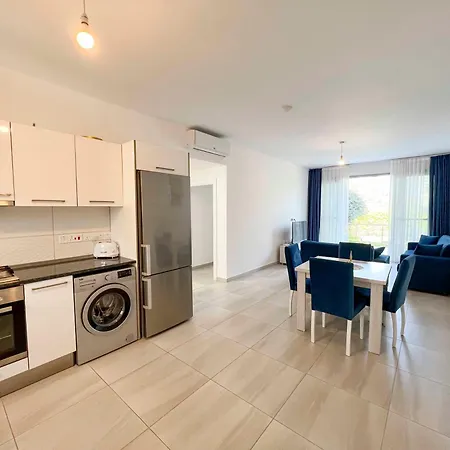 Olive Branch By Holidaykeys *