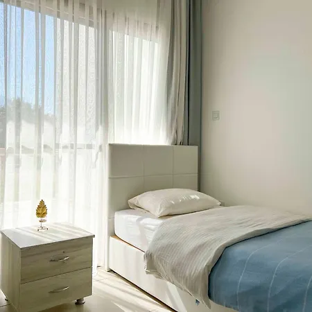 Olive Branch By Holidaykeys *