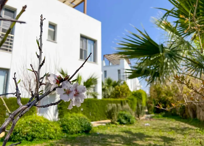 Appartement Olive Branch By Holidaykeys Agios Georgios (Kyrenia)