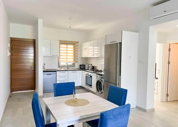 Olive Branch By Holidaykeys *