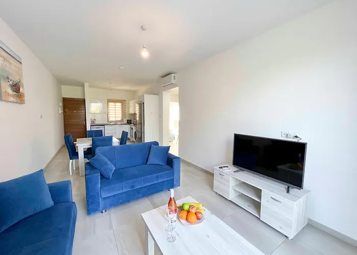 Olive Branch By Holidaykeys *