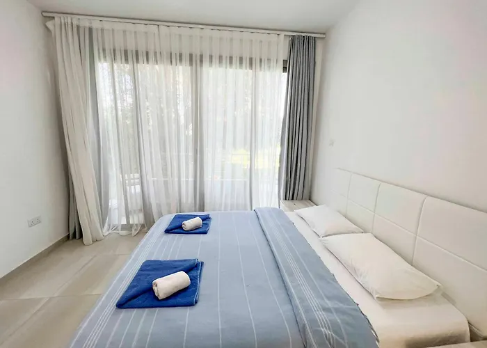 Olive Branch By Holidaykeys