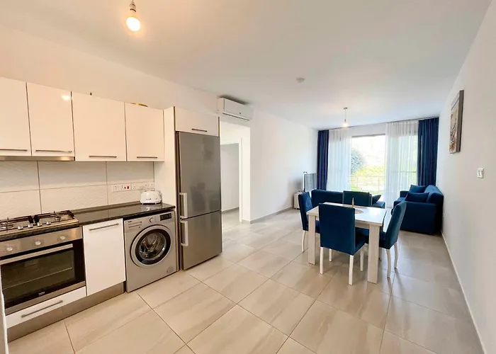 Olive Branch By Holidaykeys *