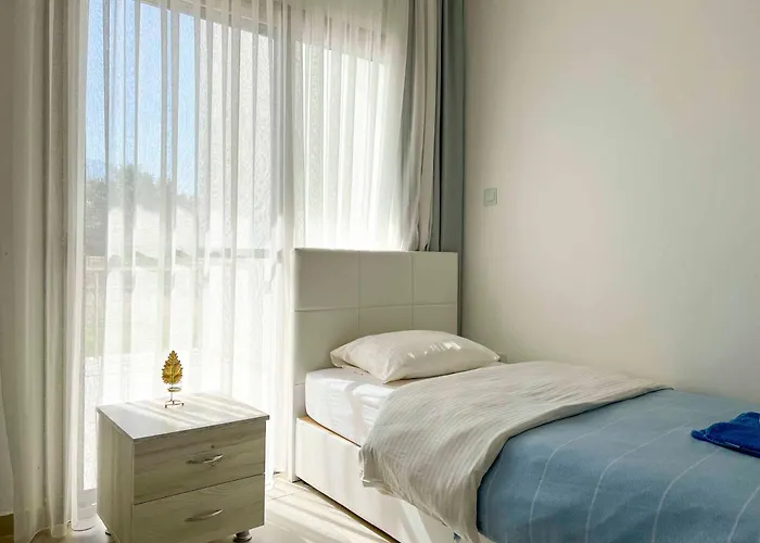 Olive Branch By Holidaykeys *